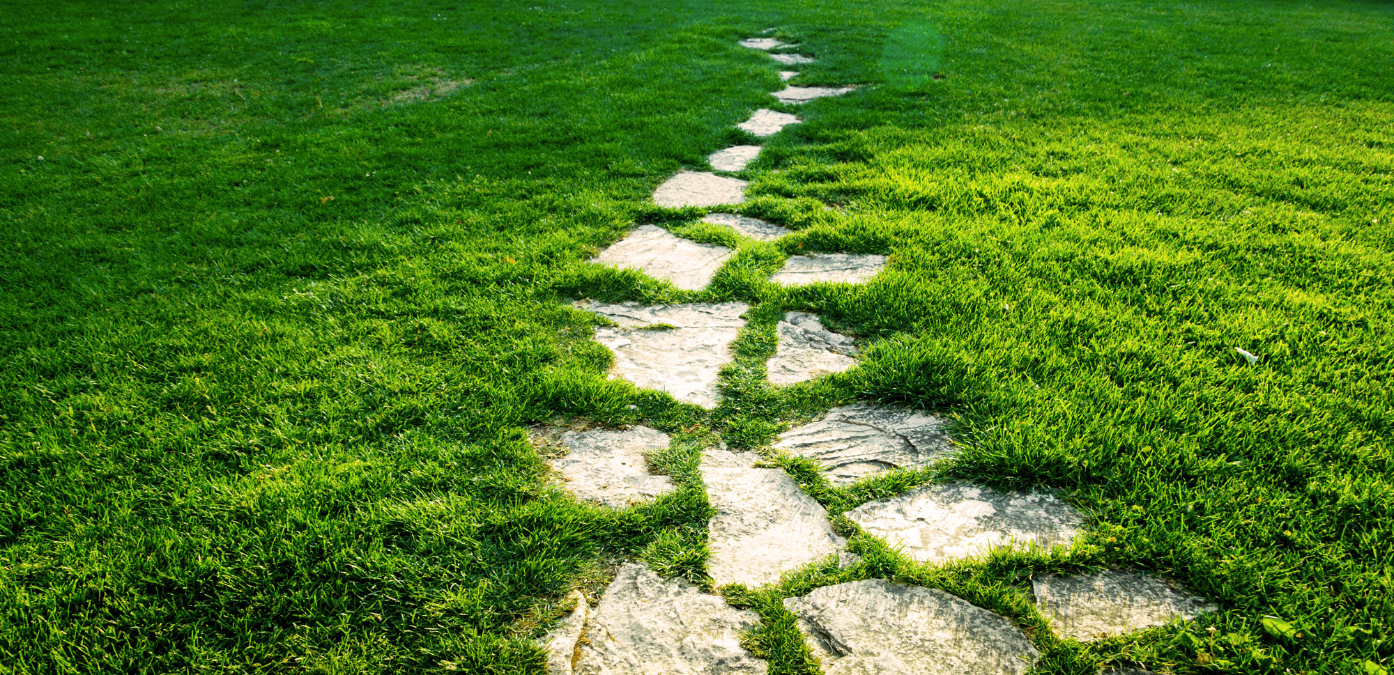 stepping stone path through grass